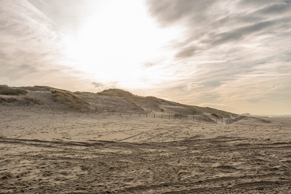 Medium property photo - Pluvierstraat 308, 2583 KE Den Haag